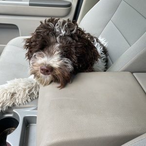 Meet your Posher, Karina